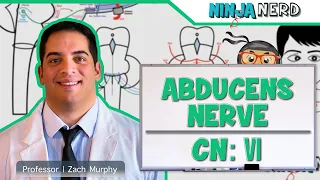 Neurology | Abducens Nerve: Cranial Nerve VI