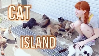 CAT ISLAND in Japan!　猫島 (宮城県) Tashirojima