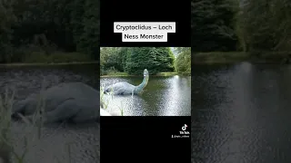 Animals That Scientific Are Trying To Bring Back 💥☠️🐍 Cryptoclidus – Loch Ness Monster #short