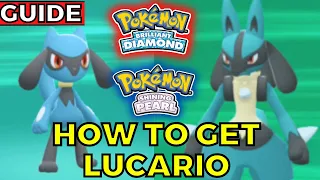 How to get LUCARIO and Riolu in Pokemon Brilliant Diamond and Shining Pearl Guide