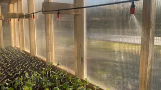 CHEAP greenhouse watering system