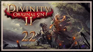 Burning - Divinity: Original Sin 2 - Part 22