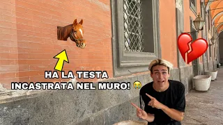 TROVIAMO UN CAVALLO CON LA TESTA INCASTRATA IN UN BUCO!! *è in pericolo*