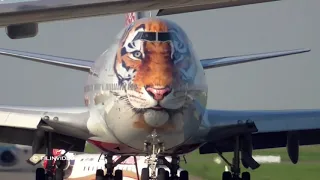 Boeing 747 with the face of the tiger / Airport Vnukovo - Tiger Jet