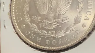 Morgan dollar facts. A lot of different Morgan dollar dates shown. #coincollecting #history #facts