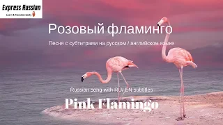 Russian Song Rozoviy Flamingo - Dual Text RU EN / Розовый фламинго Алёна Свиридова