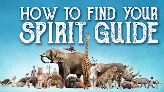 How To Find Your Spirit Guide or Totem Animal - Magical Crafting - Power Animal - Spirit Animal