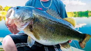 Shiner Fishing For Big Trophy Bass - live bait fishing tips to catch record bass!