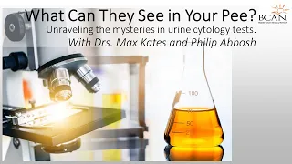What Can They See In Your Pee | What is Urine Cytology and What do the Experts Look For?