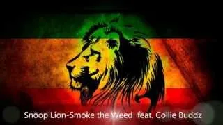 Snoop Lion - Smoke the Weed  feat. Collie Buddz