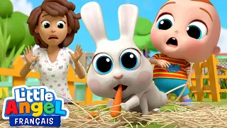 Bébé Louis et Le Petit Lapin 🐰 Comptine des Animaux | Little Angel Français