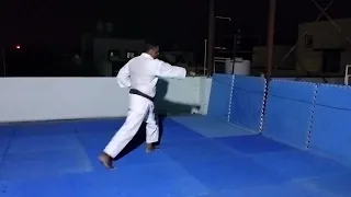 MINAMI KEN BUDO KARATE - TKFI - SAITO HA SHITORYU.