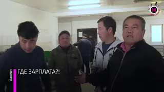 Работа в Батимант Нижневартовск: жесткие отзывы сотрудников.