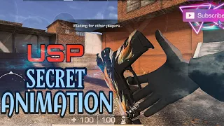 Standoff 2 - USP Secret Animation ♥️ 😱