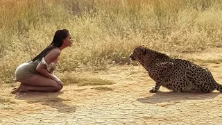 EMOTIVOS REENCUENTROS DE ANIMALES CON SUS DUEÑOS DESPUÉS DE AÑOS