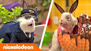 Грозная семейка | Лучшие моменты с Доктором Колоссо 2 | Nickelodeon Россия