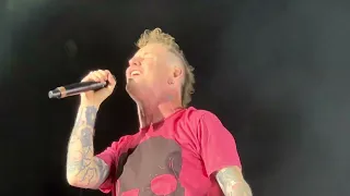 Corey Taylor - Wait and Bleed