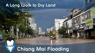 Chiang Mai Flood, 2022 - A long walk to dry land.