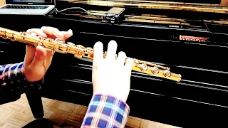 Enesco: Cantabile et Presto pour Flûte avec accompagnement de Piano, ver.1