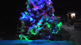 Красивая зимняя елочка во дворе