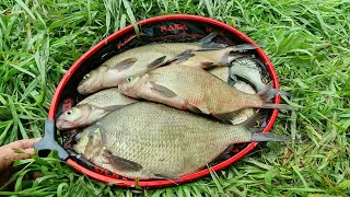 For Donskoy bream in May! Catching bream on a feeder