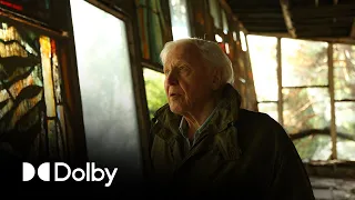 Telling the Emotional Story of Sir David Attenborough's "Life on Our Planet" | Sound + Image Lab