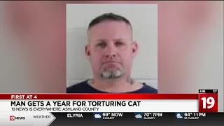 Northeast Ohio man sentenced in cat abuse: 'Lack of understanding and lack of remorse'