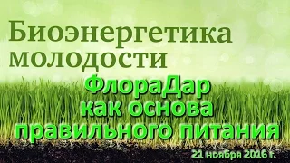 Флорадар как основа правильного питания ACLON Прохорова ГП 21 ноября 2016