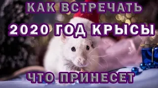 2020 ГОД КРЫСЫ - Как встречать и что принесет 🎇 Китайский Новый год