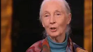 Jane Goodall on Role Zoos Play in Saving Wild Animals