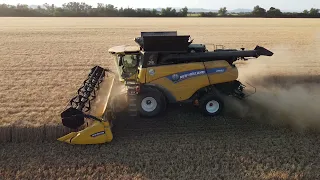 Žatva tvrdej pšenice // 3x Claas Lexion + New Holland CR // SPD Veselé