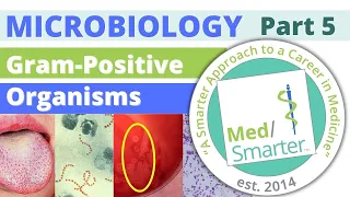 USMLE Step 1 | Microbiology | Gram Positive Organisms | Part 5