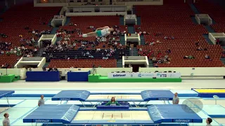 CLARKE Dominic (AUS) - 2018 Trampoline Worlds, St. Petersburg (RUS) - Qualification Trampoline R2