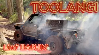 LIMI BASHIN' TOOLANGI! Cockpit & Blowhard Track