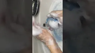 ASMR Soaping of soaked soap. АСМР Намыливание пропитанного мыла. #shorts