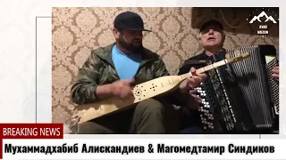 Мухаммадхабиб Алискандиев & Магомедтамир Синдиков