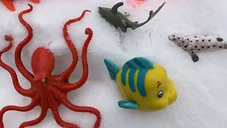 SEA ANIMALS TOYS FROZEN (Winter Season)