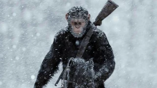 Exodus Wounds (War For The Planet Of The Apes OST)
