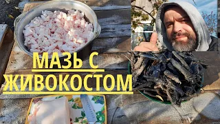 Как я готовлю мазь с корнем живокоста.