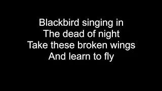 BLACKBIRD | HD With Lyrics | THE BEATLES cover by Chris Landmark