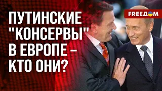 💥 Российское ЛОББИ: Кремль выпускает "ручных ЗВЕРЮШЕК"