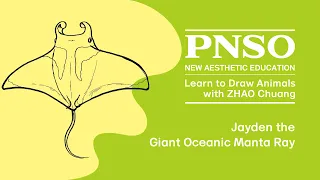 042 Jayden the Giant Oceanic Manta Ray | Learn to Draw Animals with ZHAO Chuang