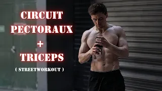 Circuit Pectoraux et Triceps ( streetworkout )