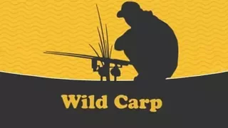 Я выбираю Wild Carp!