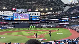 View at a Jays Game