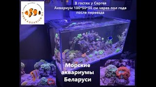 Морской аквариум Сергея в Минске. Пол года после переезда.