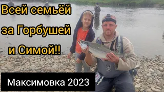 Рыбалка. Максимовка 2023. Горбуша раздаëт!!! Ловят все!