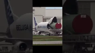 airbus beluga is hungry!!! #shorts #aviation #airbus