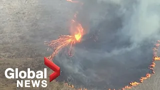 Australia wildfires: "Firenado" threatens properties as firefighters tackle nearly 100 blazes