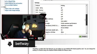 NiKo shows current nvidia settings for cs go